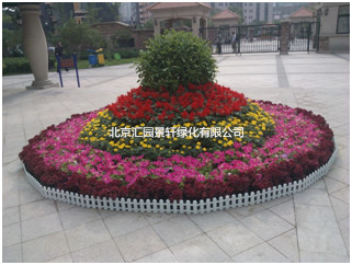 节日花坛